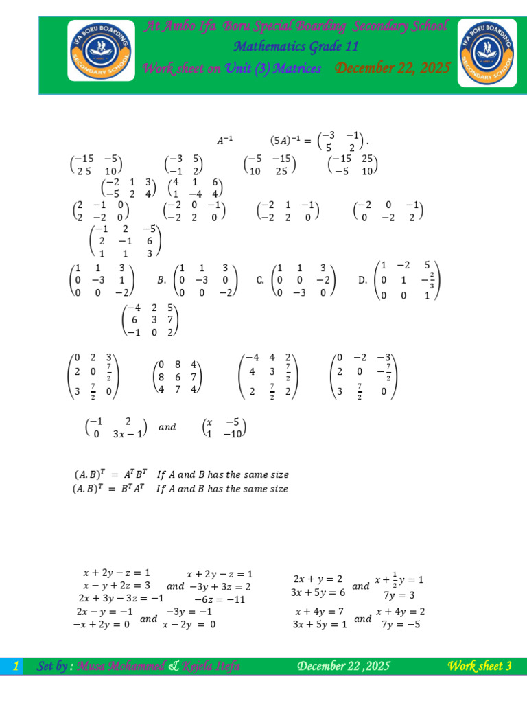 Grade 11 Mathematics: Matrices Worksheet | PDF | Matrix (Mathematics ...