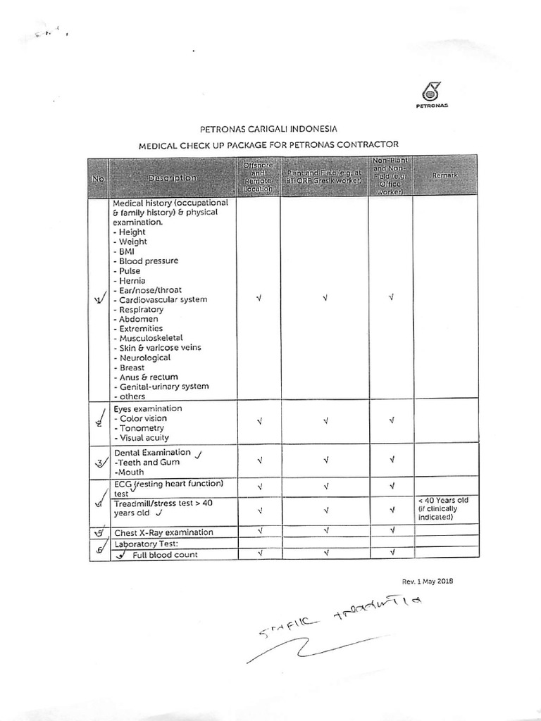 A Matrix - Petronas[1] | PDF