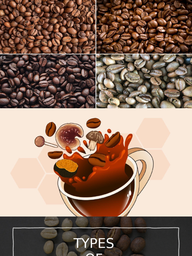 3 Types of Coffee Beans | PDF