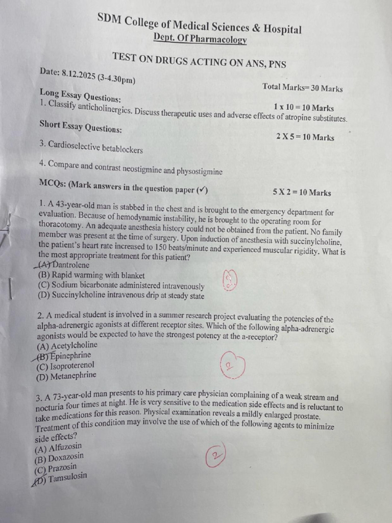 Ans, PNS | PDF