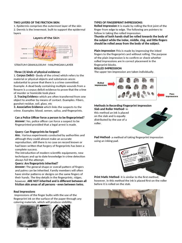 Understanding Fingerprint Analysis Techniques | PDF | Fingerprint ...