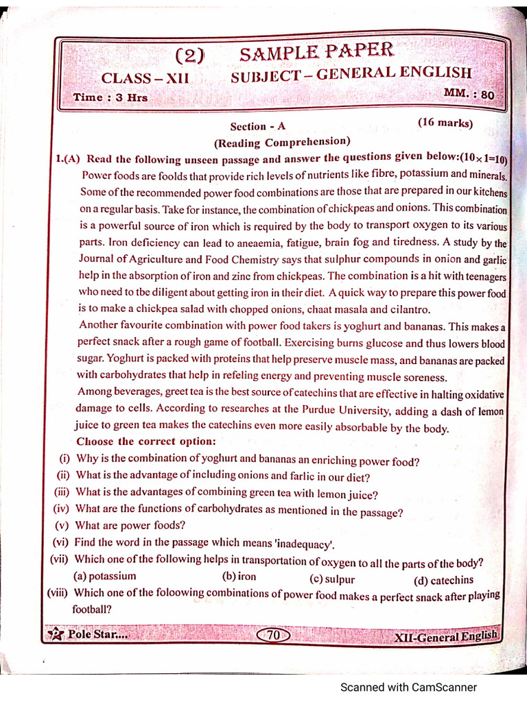 English Model Test Paper-2 | PDF