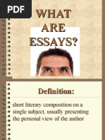 What Are Essays