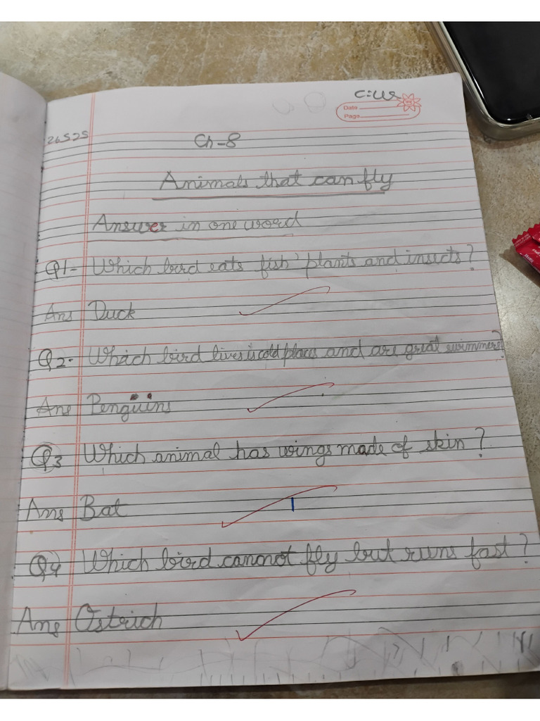 Evs Notebook | PDF