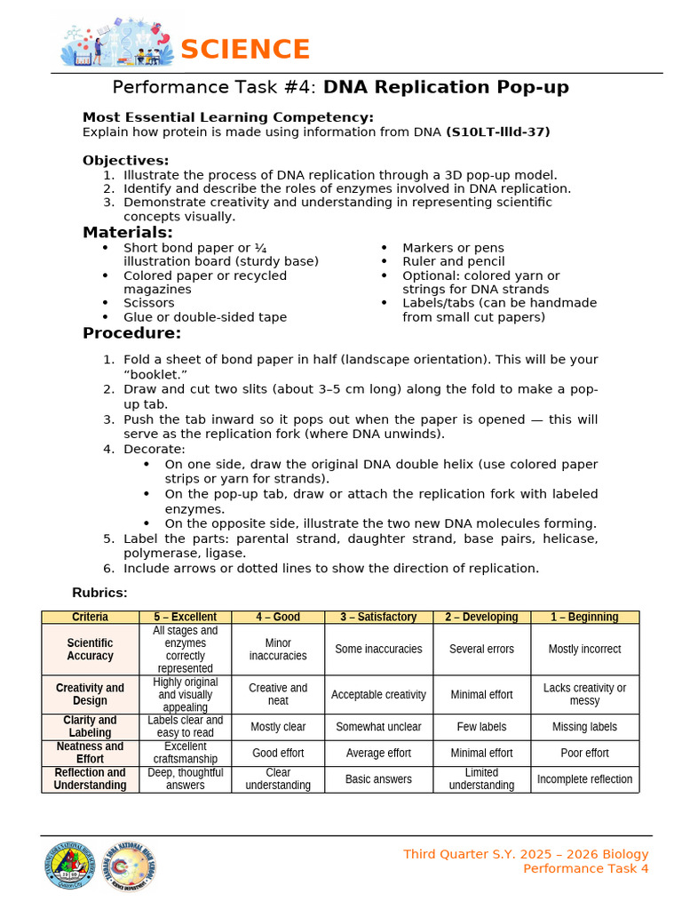 DNA Replication 3D Model Project | PDF | Dna Replication | Dna