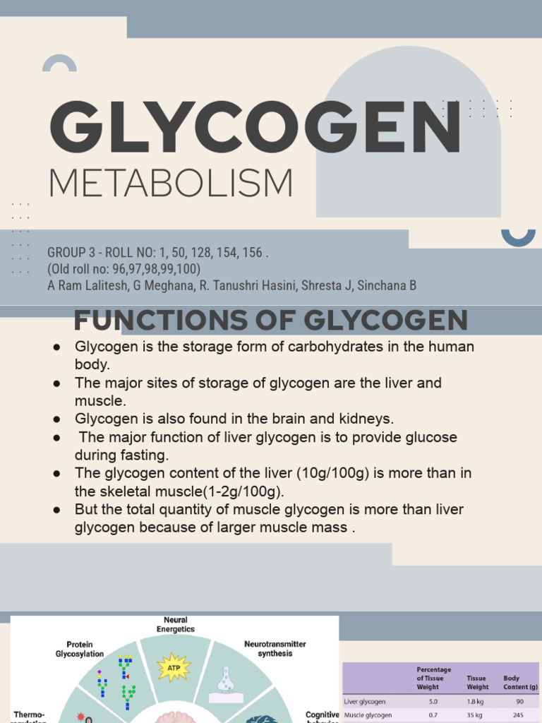 Glycogen Metabolism Overview | PDF | Glycogen | Glucose