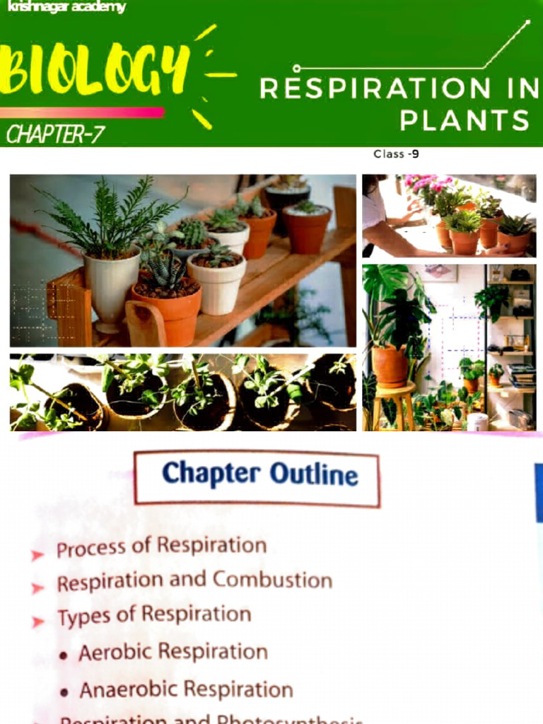 Class IX Biology Respiration in Plants 09 07 2020 | PDF