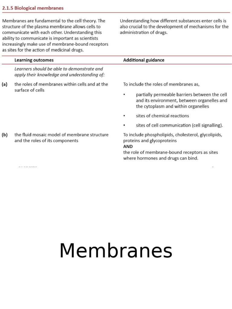 Cell Membrane Structure and Functions | PDF | Cell Membrane | Phospholipid