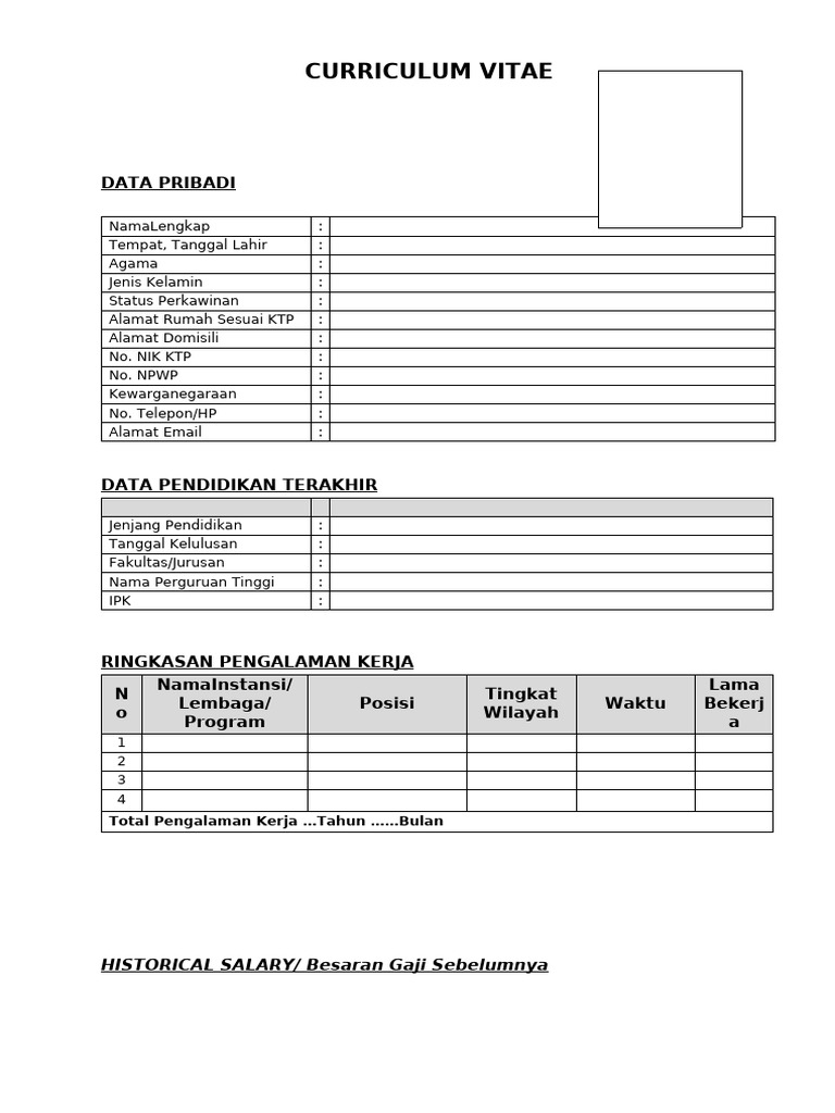 Contoh Curriculum Vitae Lengkap | PDF