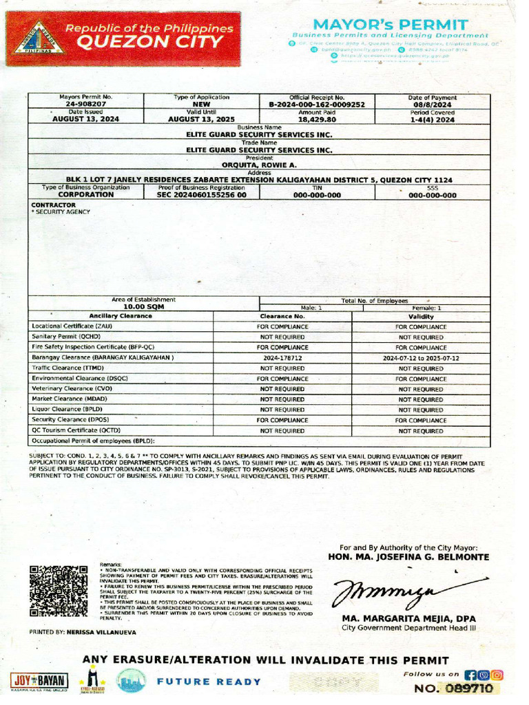 Mayor Permit2 | PDF
