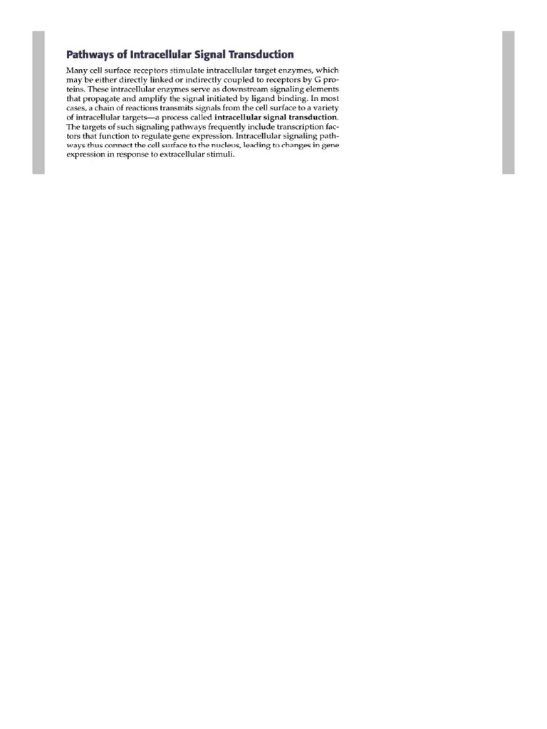Camp | PDF