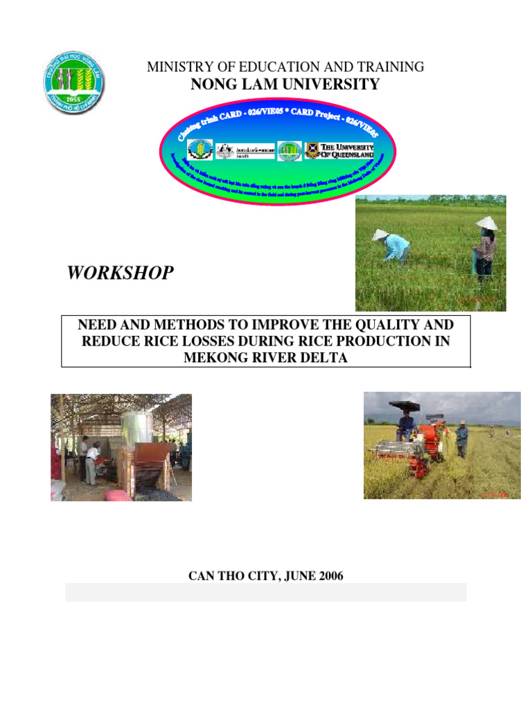 Improve Rice Quality in Mekong Delta | PDF | Rice | Agriculture