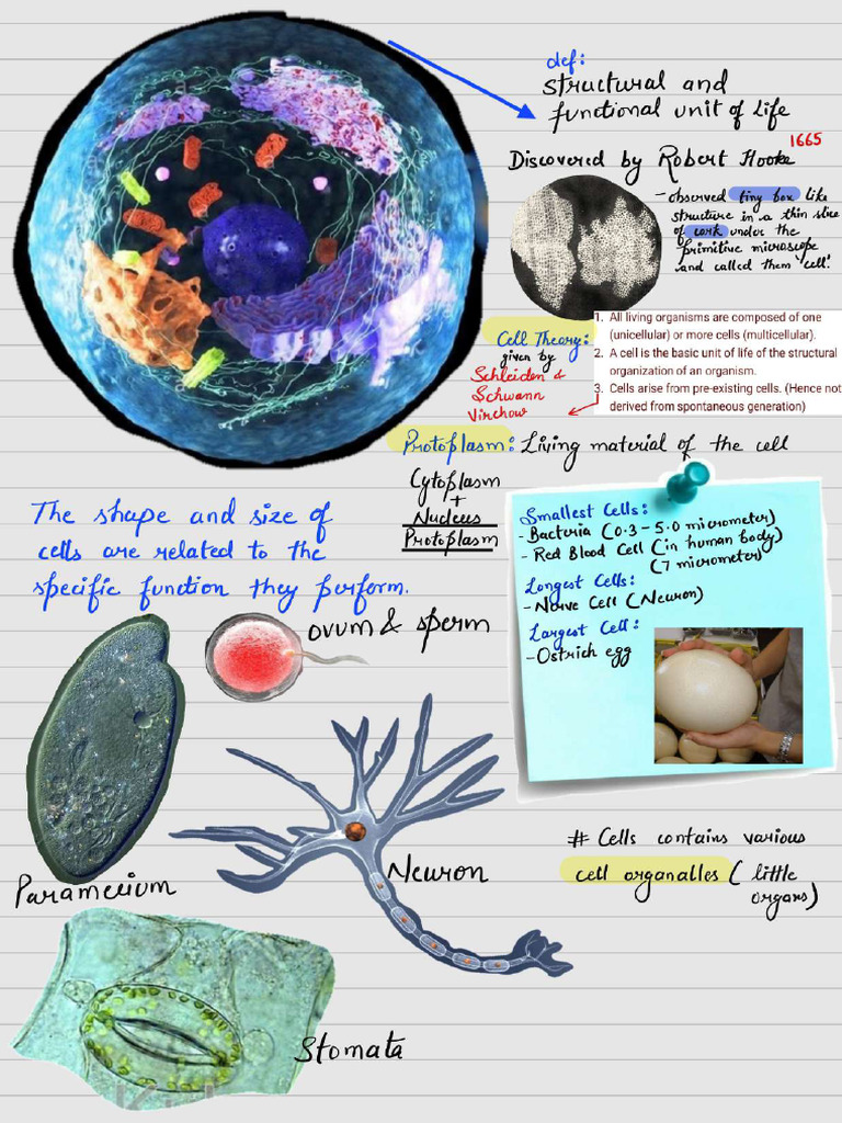 Class 9 Cell Notes - Page-0001 | PDF