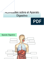 Actividades Sobre El Aparato Digestivo