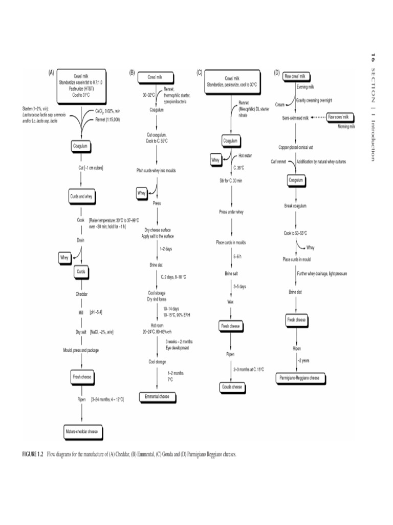 Cheese Manufacturing Flow Diagrams | PDF