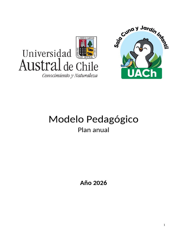 Modelo Pedagógico 2026: Sala Cuna y Jardín Infantil | PDF | Plan de ...
