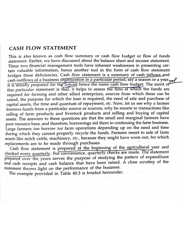 Cash Flow Statement | PDF