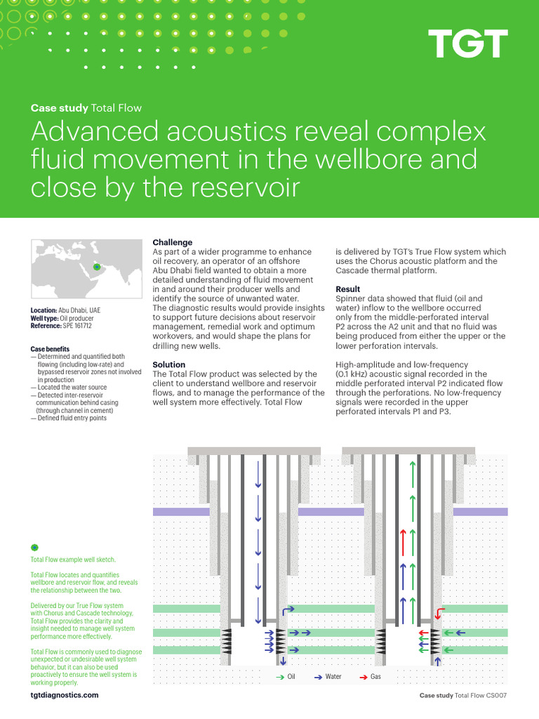 CS007-Total-Flow | PDF | Petroleum Reservoir | Spectral Density