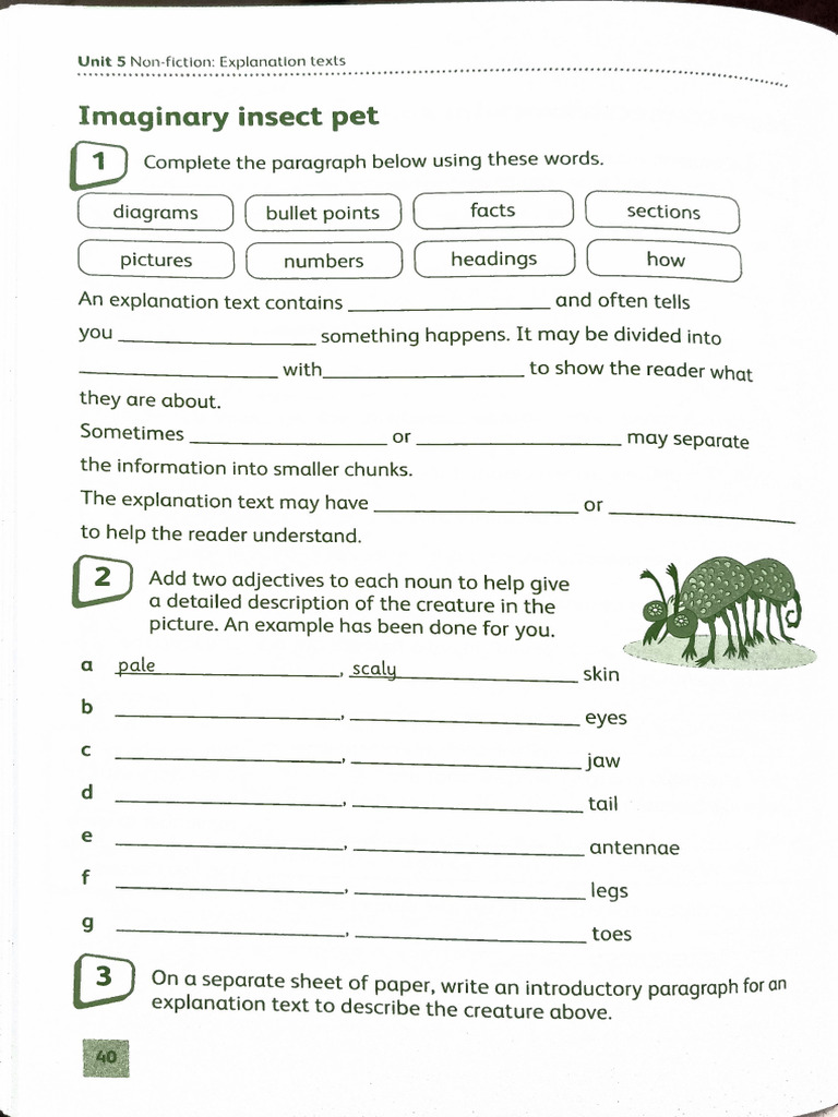 Page 40 Workbook | PDF