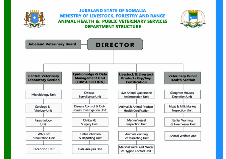 AH Structure | PDF