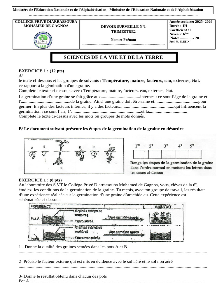 Devoir sur la germination des graines | PDF | Germination | Plantes