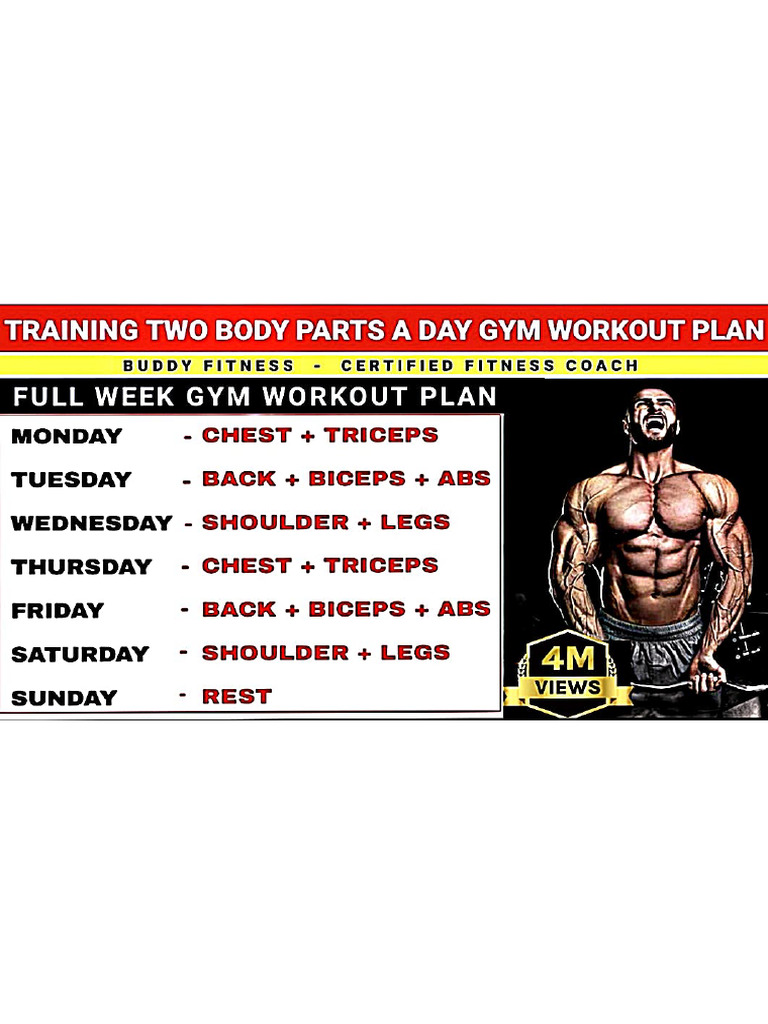 Gym Exercises Plan | PDF