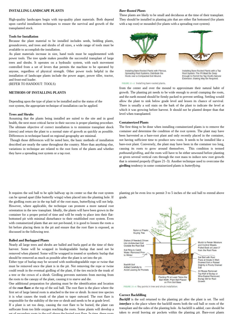 Landscape Plant Installation Guide | PDF | Trees | Root