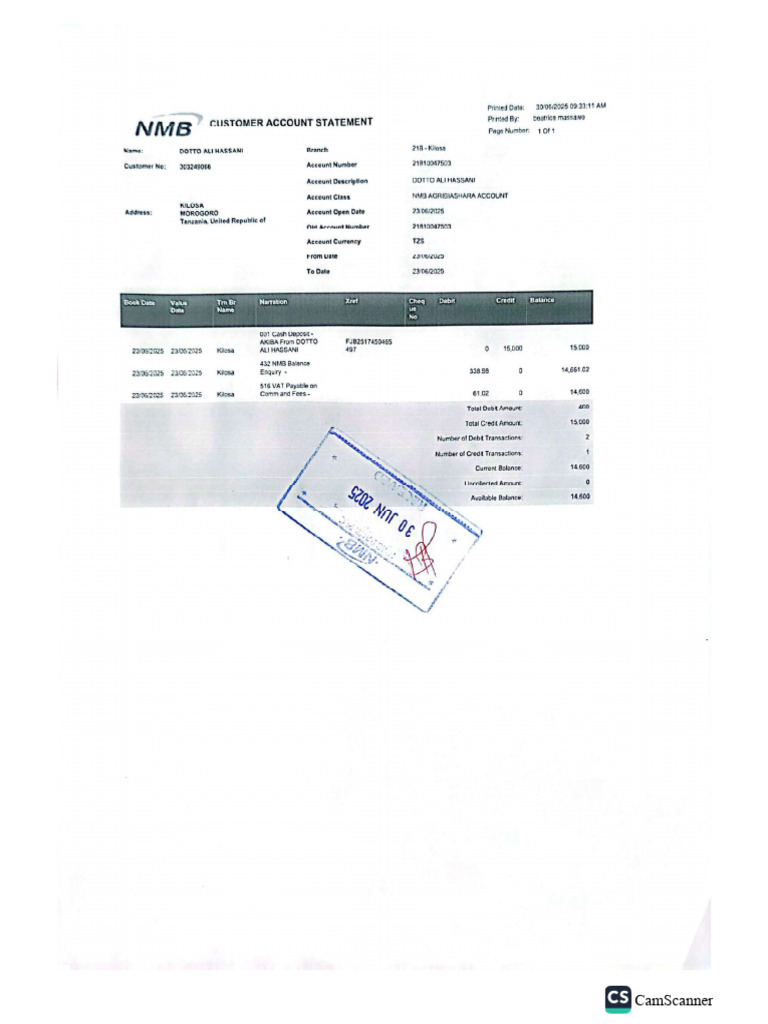 141175-207-Cerified Payee Bank Statement | PDF