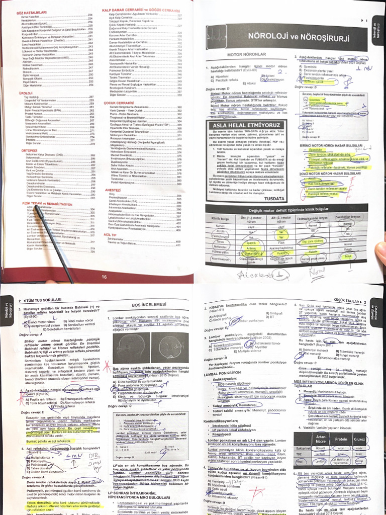 Nöro 1 | PDF