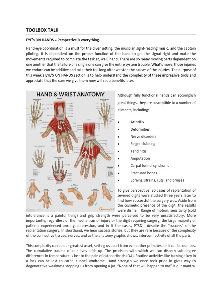 Hand Health: Preventing Injuries & OA | PDF | Hand | Injury