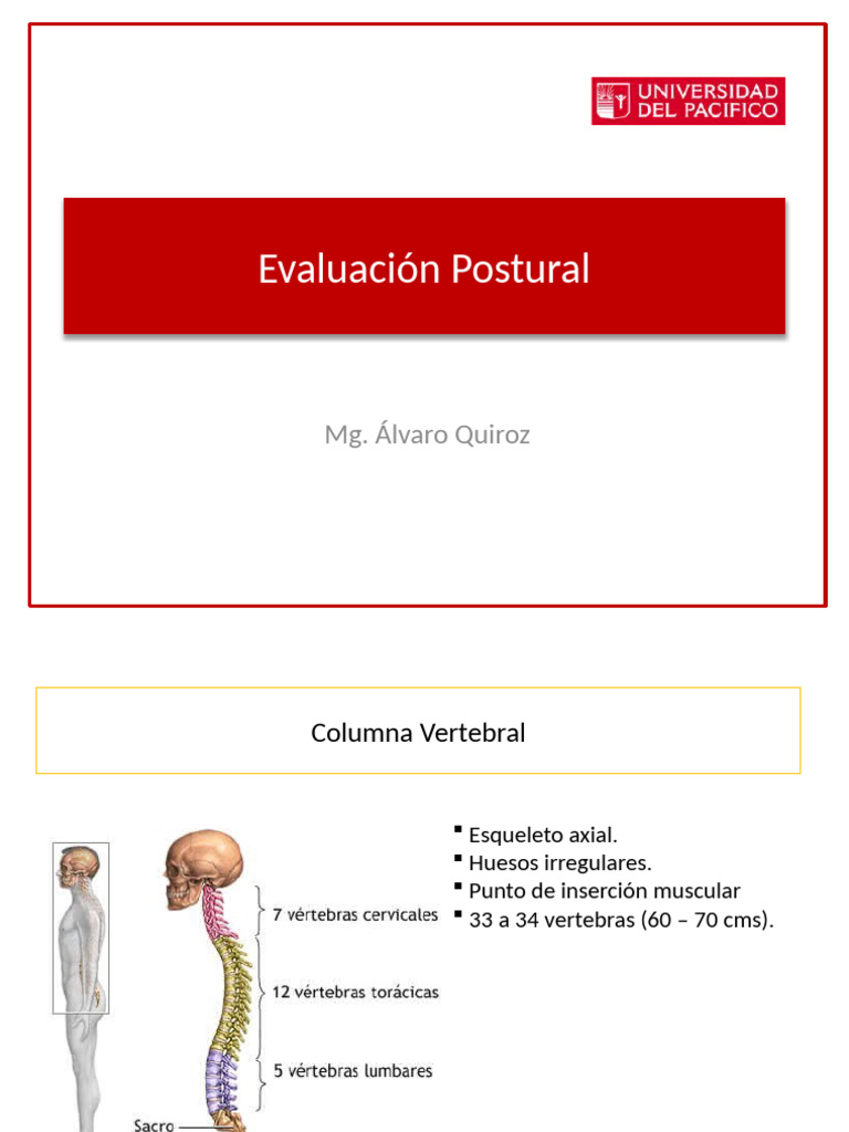 Evaluación de la Postura y Columna Vertebral | PDF