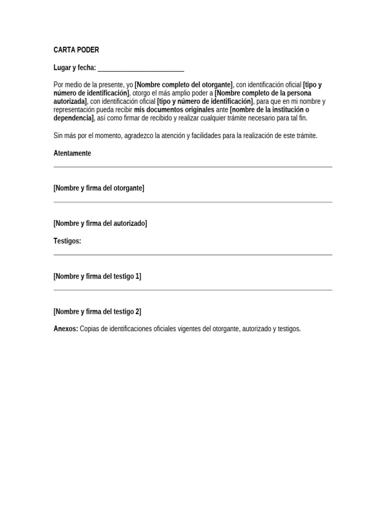 Modelo de Carta Poder Notarial | PDF