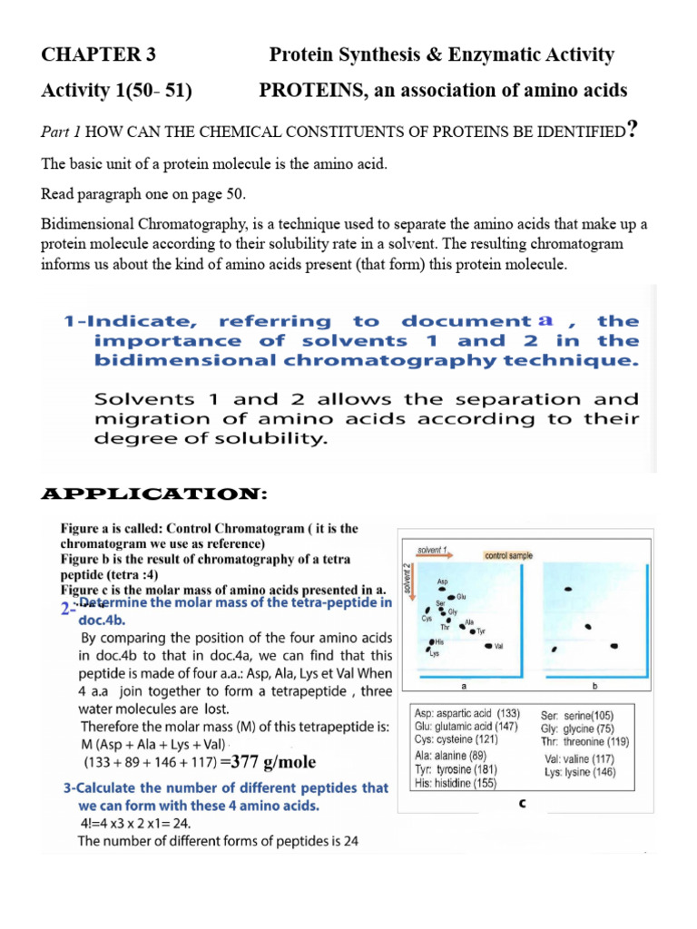 CHAPTER 3 Protein Synthesis S2S | PDF