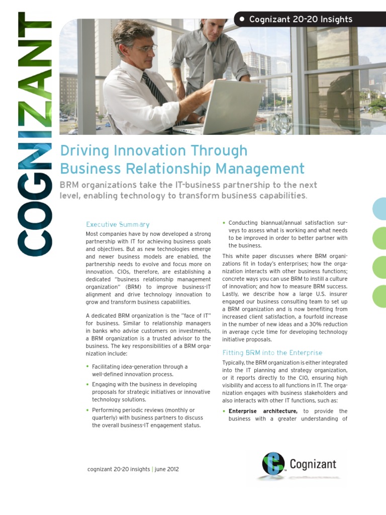 Driving Innovation Through Business Relationship Management | PDF ...