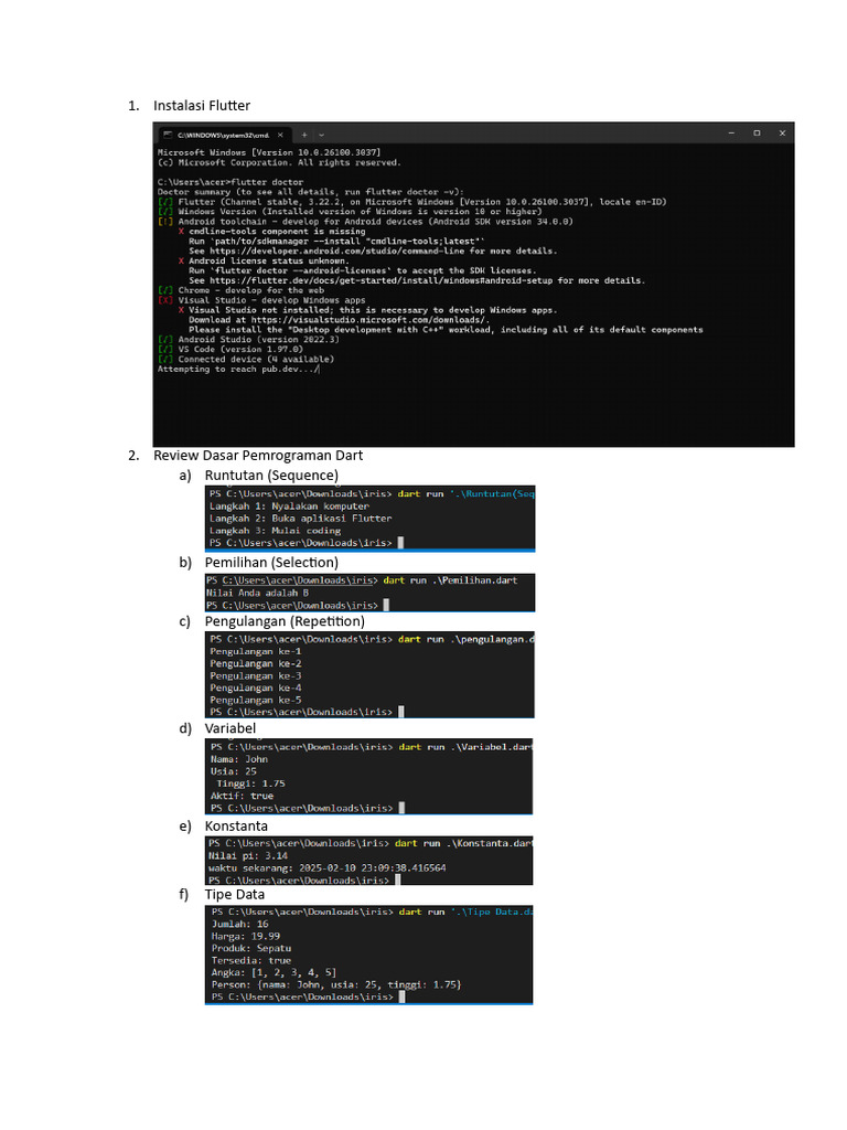Panduan Instalasi Flutter dan Dart | PDF