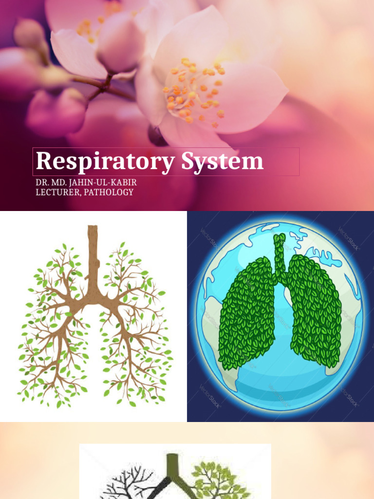 Diseases of the Respiratory System | PDF | Respiratory Diseases | Lung