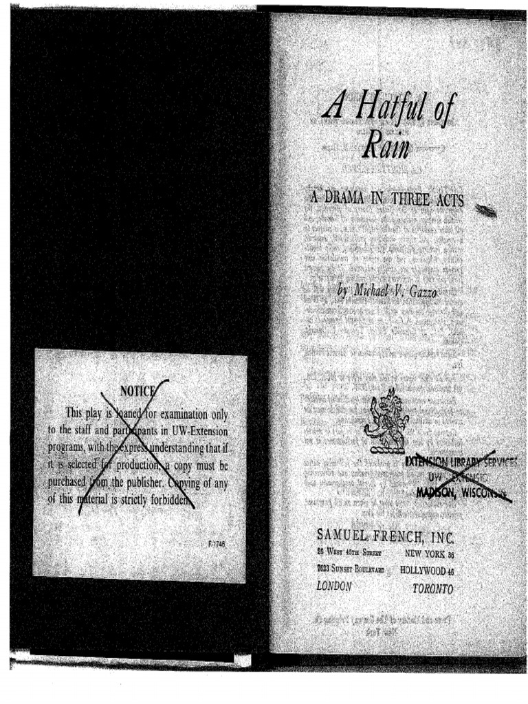 A Hatful of Rain Script | PDF