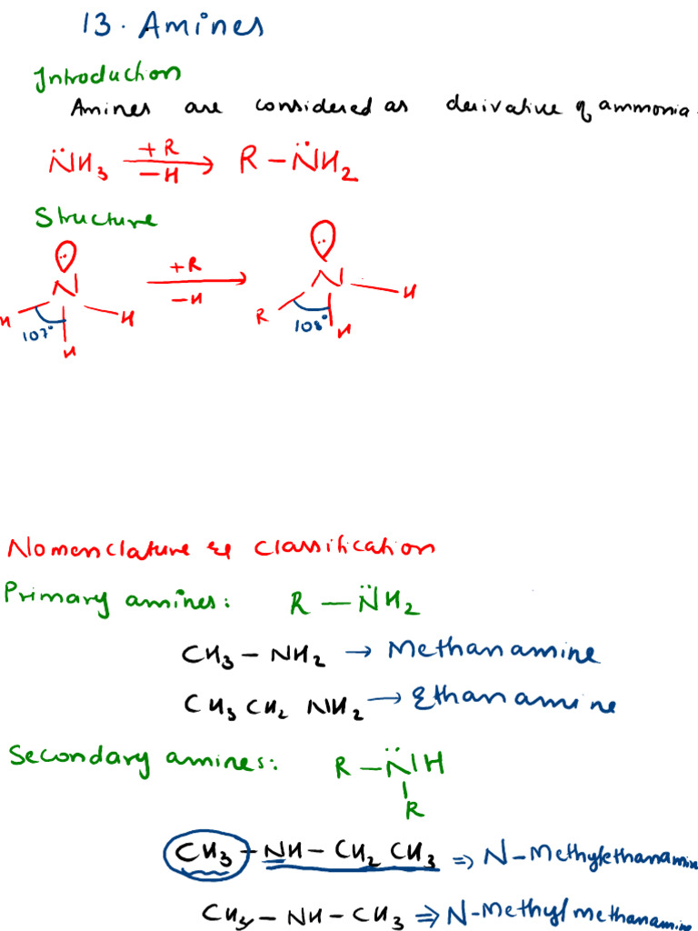 AMINES (2) | PDF