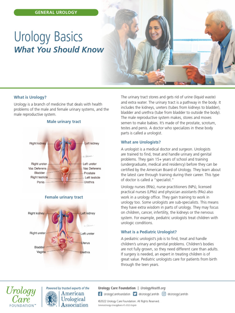 Understanding Urology and Urologists | PDF | Urology | Urinary System