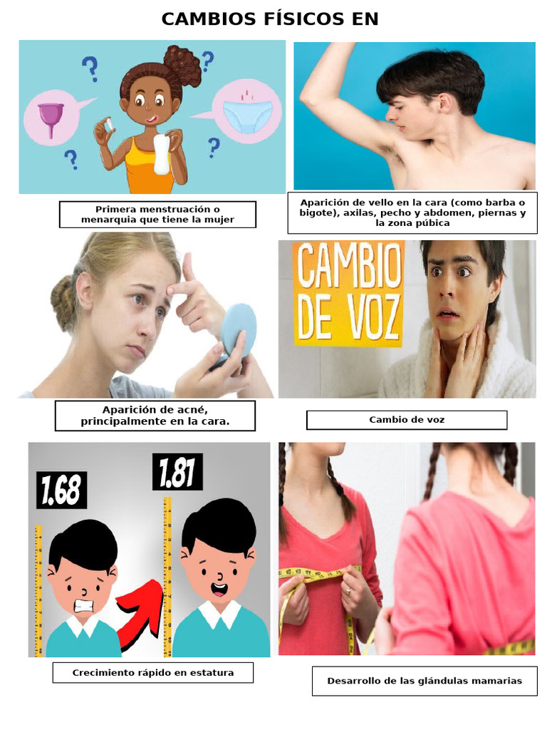 Cambios en Adolescentes: Físicos y Emocionales | PDF