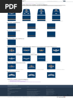 Guidelines for Retired Military Uniform Wear | PDF | United States Air ...