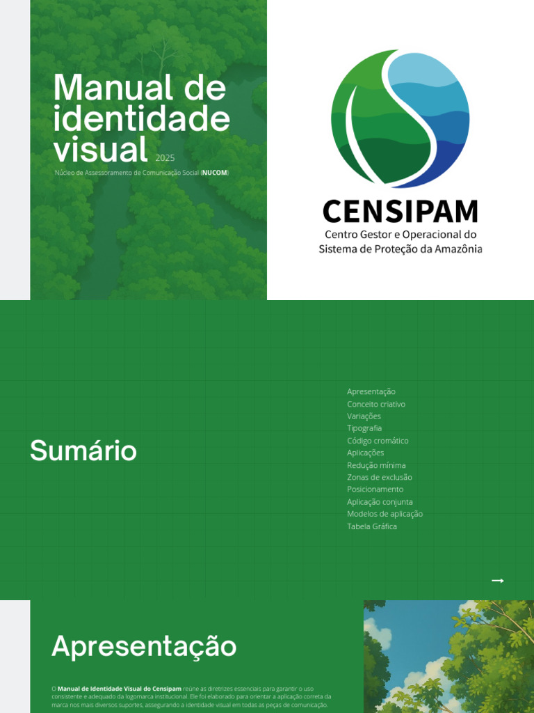 Manual de Identidade Visual Censipam | PDF | Modelo de cores RGB ...