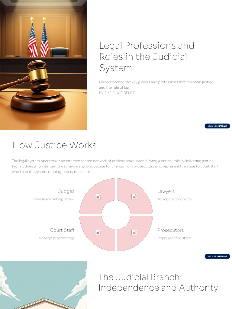 Roles in the Judicial System Explained | PDF | Prosecutor | Lawyer
