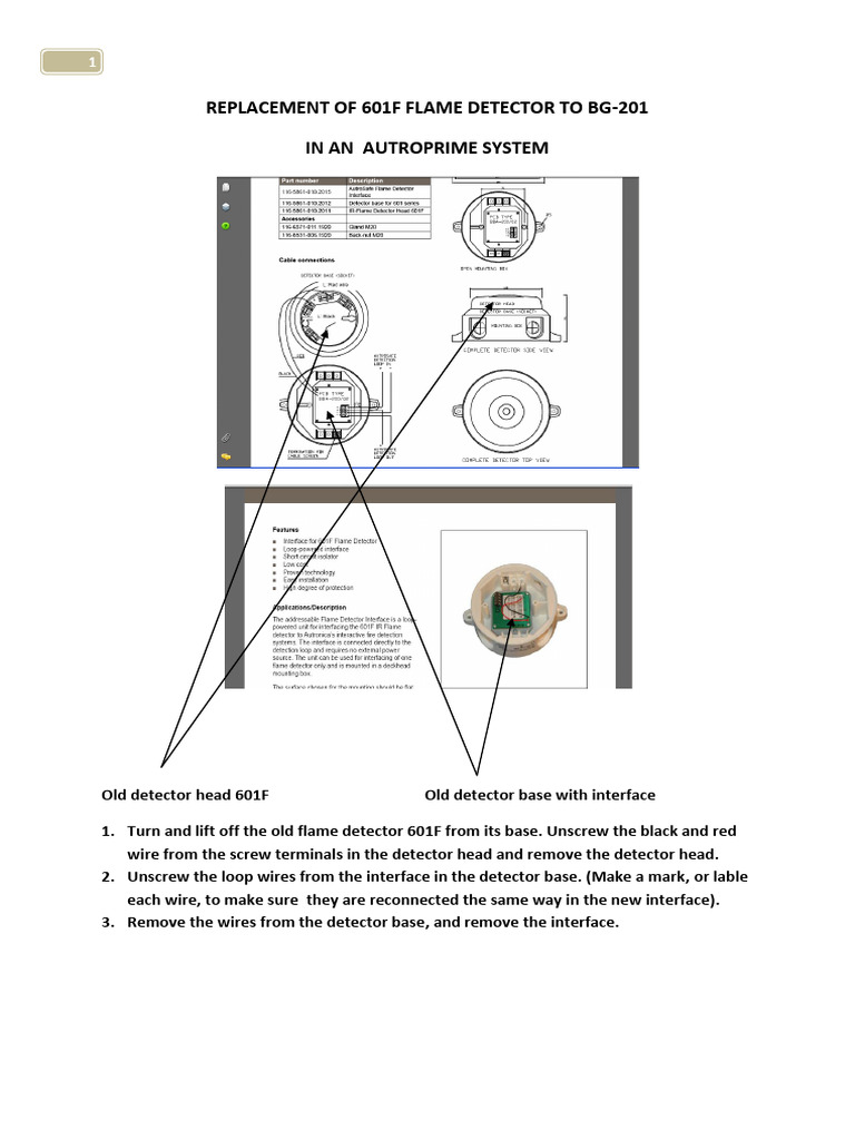 601F to BG-201 Flame Detector Guide | PDF