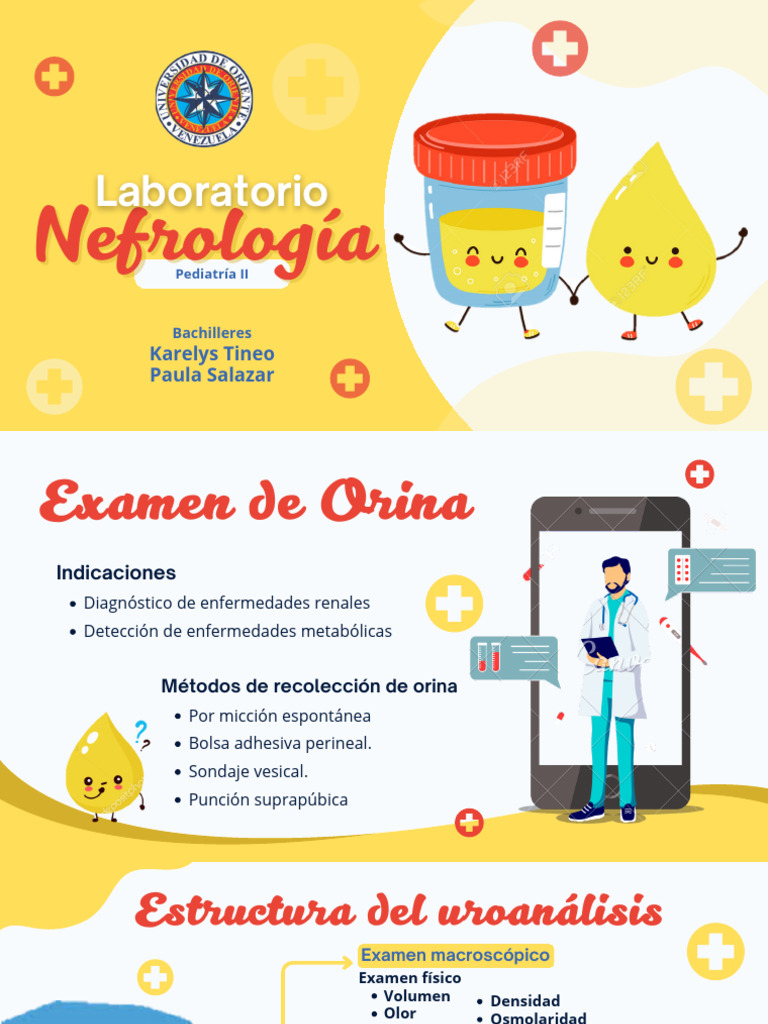 Examen de Orina en Nefrología Pediátrica | PDF | Riñón | Orina