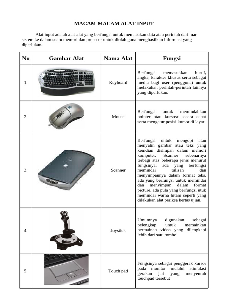 Alat Input, Output, dan Proses Komputer | PDF
