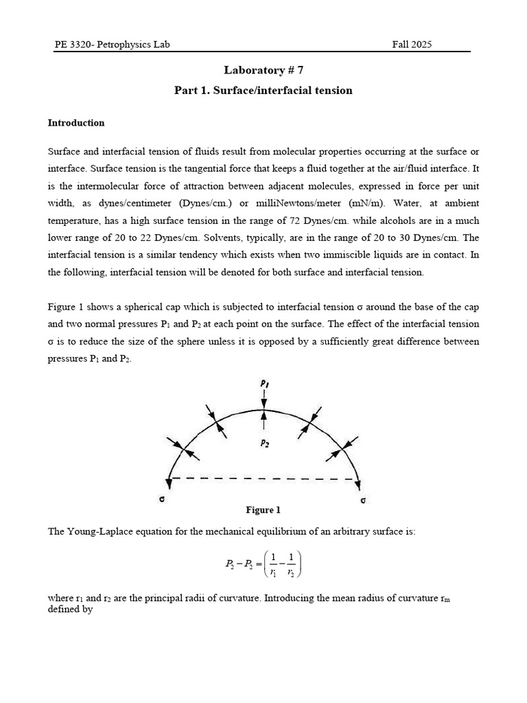 Surface and Interfacial Tension Lab | PDF | Surface Tension | Wetting
