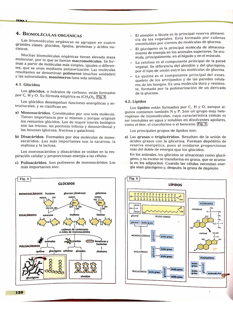 Biomole Del Libro | PDF