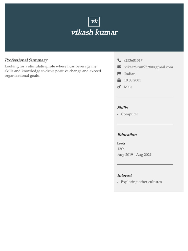 Professional Summary and Skills Overview | PDF