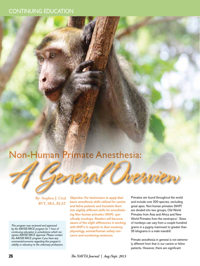 Cital 2021 Non Human Primate Anesthesia a General Overview | PDF ...